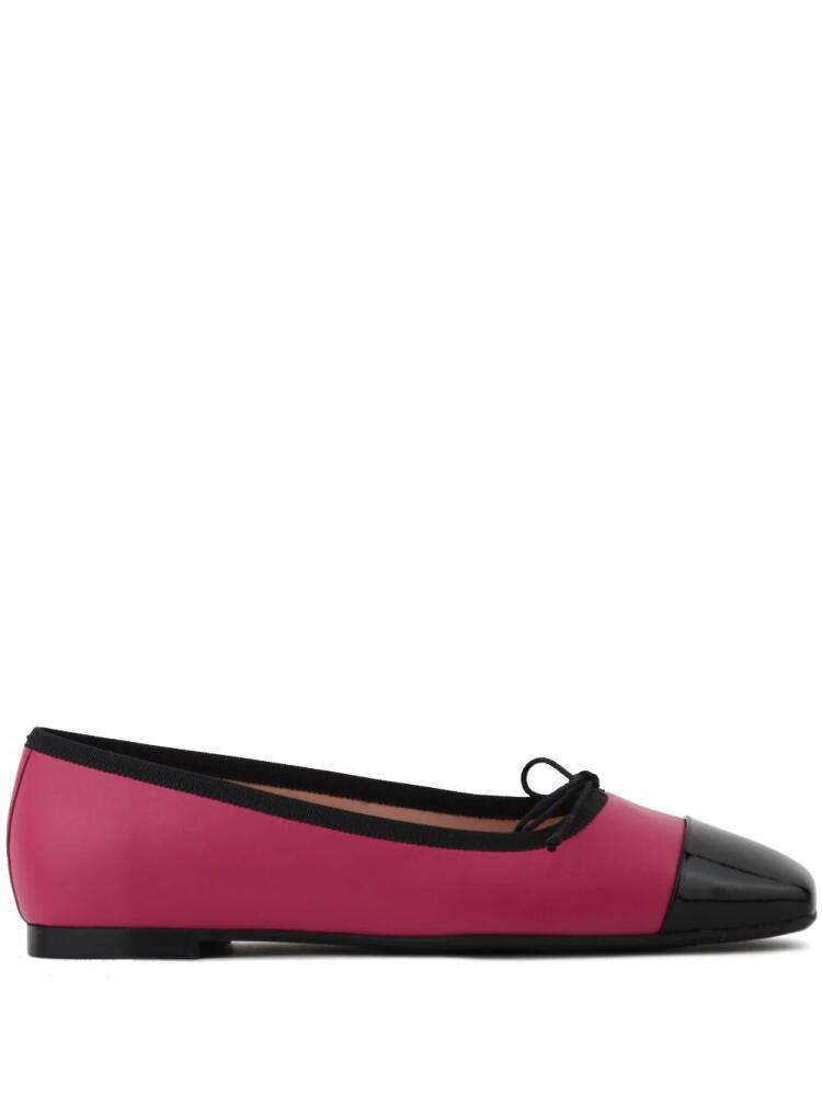 Paul Warmer x Pretty Ballerina Camille ballerina shoes - Pink Cover