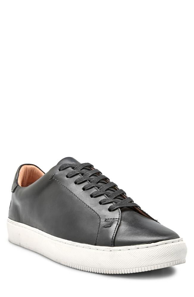 Frye Astor Sneaker in Black - Toga Cover