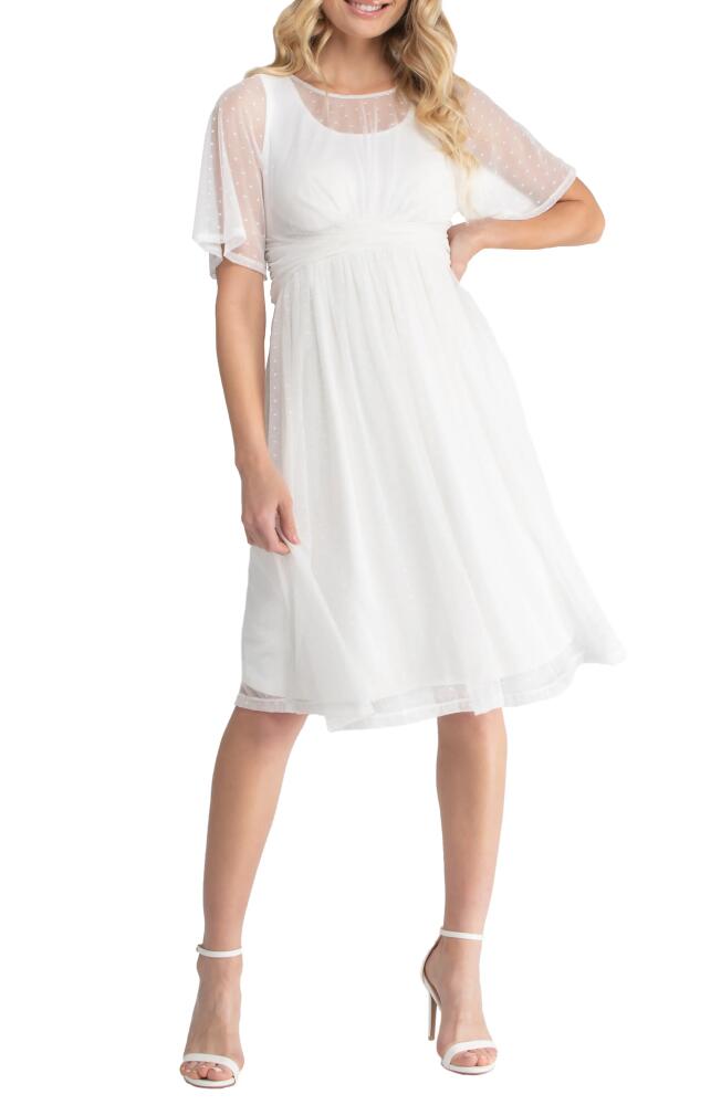 Kiyonna Stars Sheer Overlay Dress in Ivory Cover