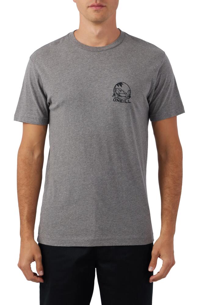 O'Neill Chunk Graphic T-Shirt in Heather Grey Cover