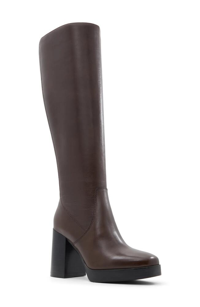 ALDO Equine Knee High Boot in Dark Brown Cover