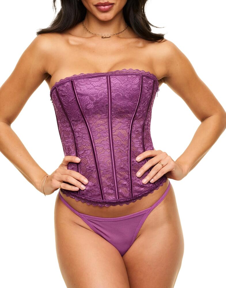 Adore Me Hailey Lined Corset & G-string Set in Dark Purple Cover