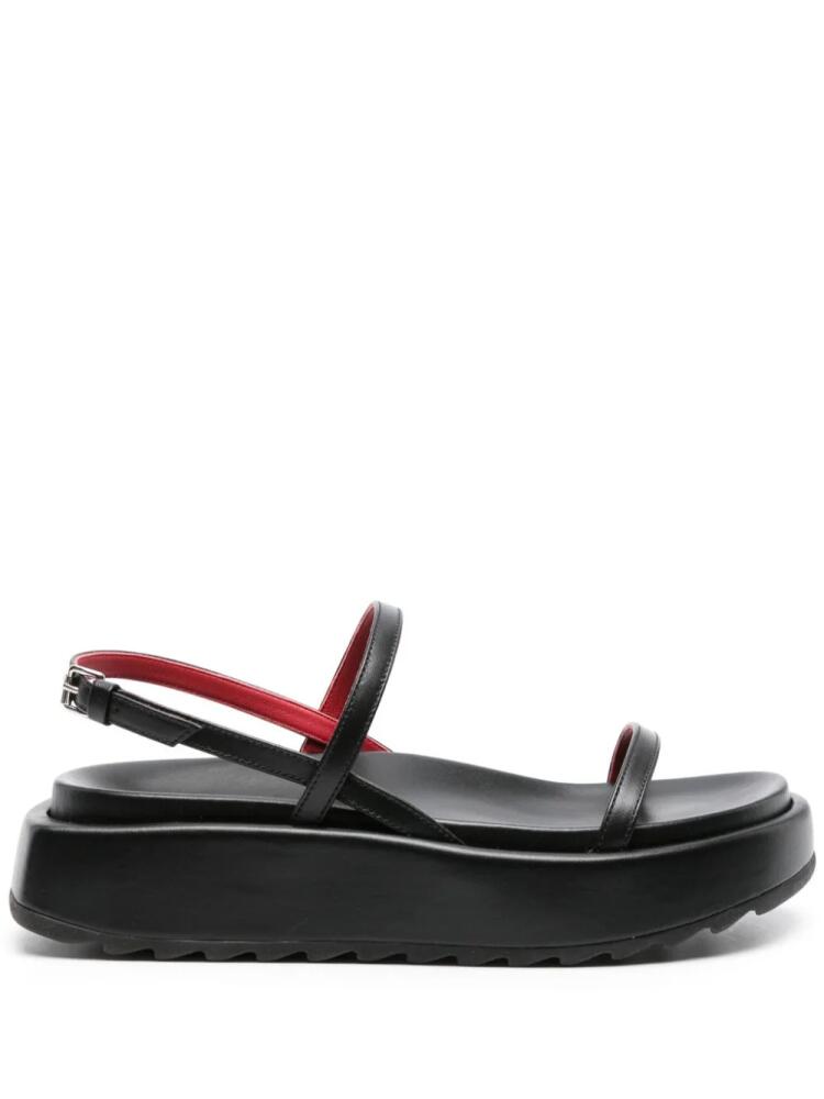 Plan C chunky-sole leather sandals - Black Cover