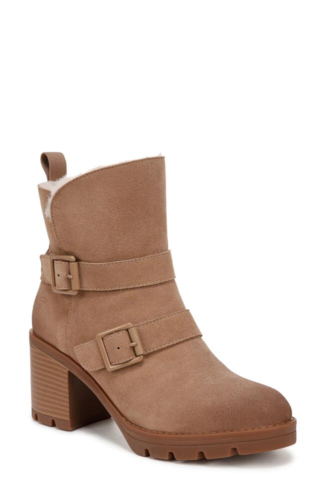 Naturalizer Verney Water Repellent Faux Fur Lined Platform Moto Bootie in Camel Brown Cover