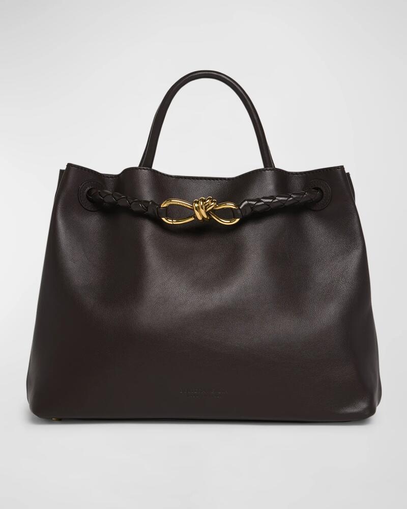 Bottega Veneta Andiamo Medium Leather Tote Bag Cover