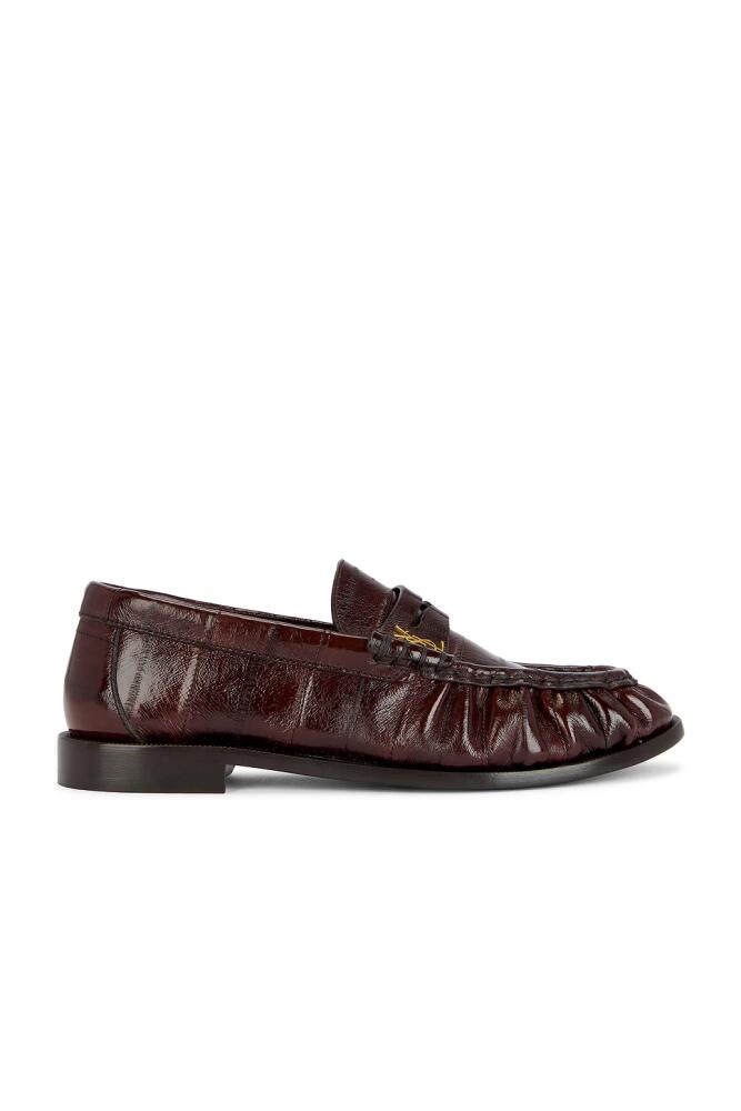 Saint Laurent Le Loafer in Brown Cover