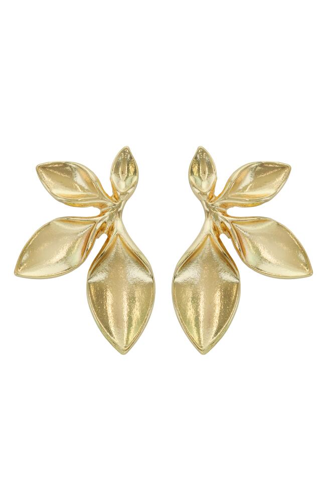 Panacea Leaf Drop Earrings in Gold Cover