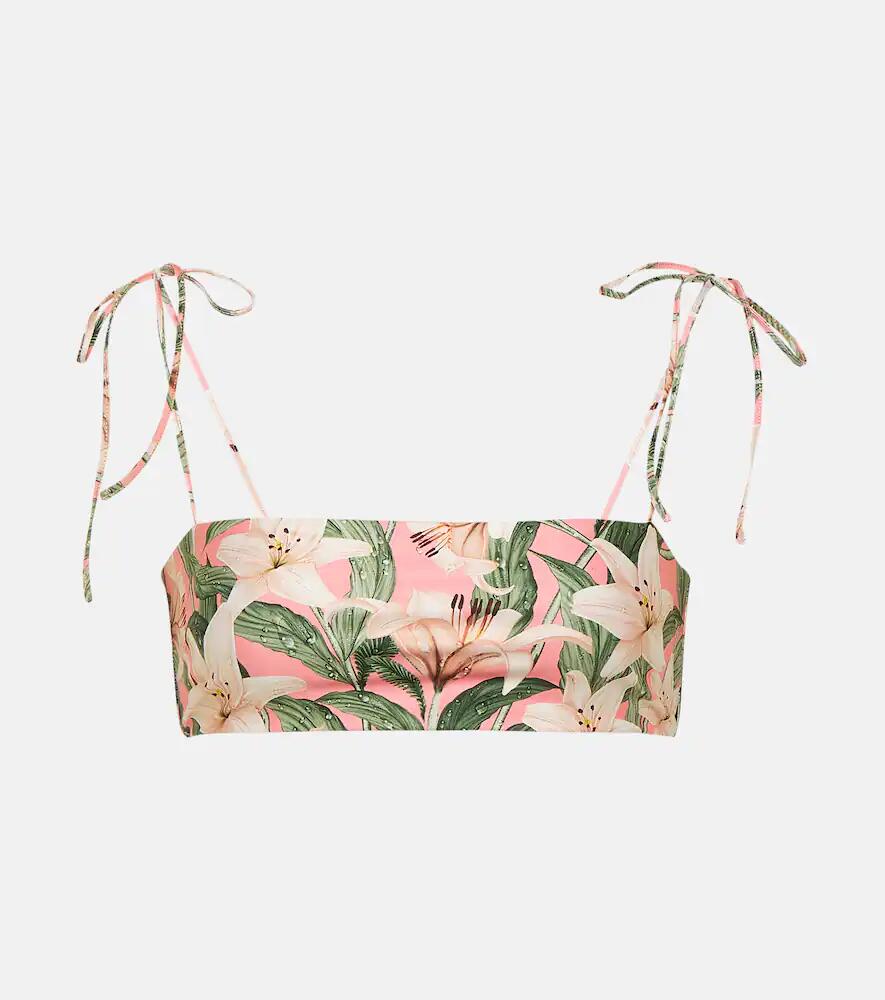 Agua by Agua Bendita Primavera floral bikini top Cover