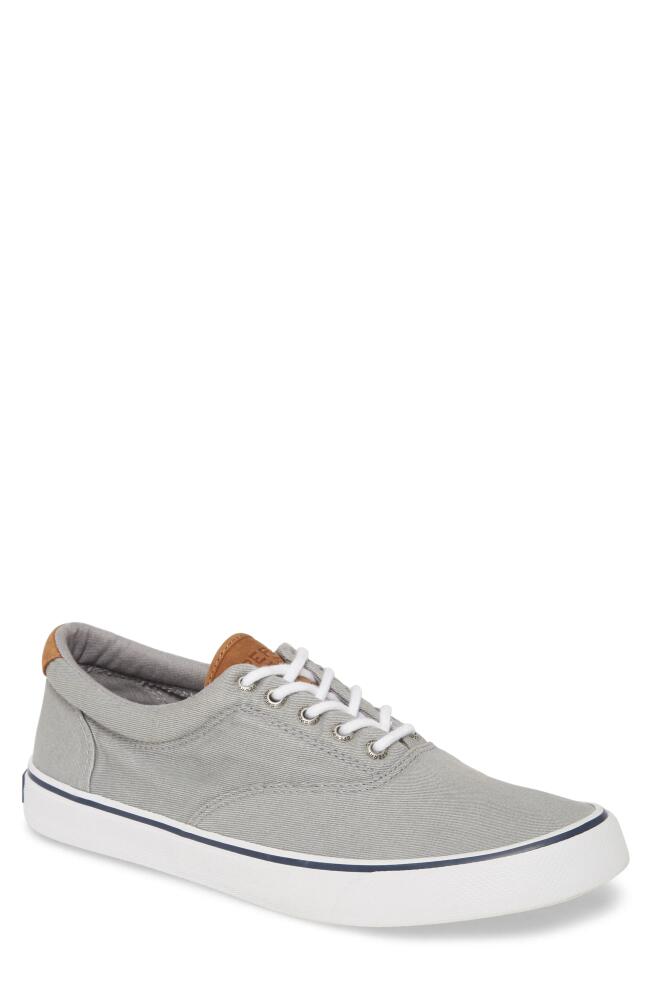 Sperry Striper II CVO Core Sneaker in Sw Grey Canvas Cover