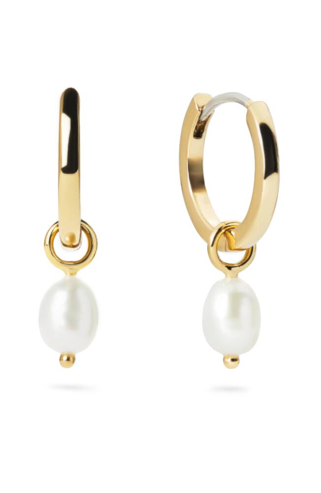 Ana Luisa Pearl Huggie Hoops - Frida in Gold Cover