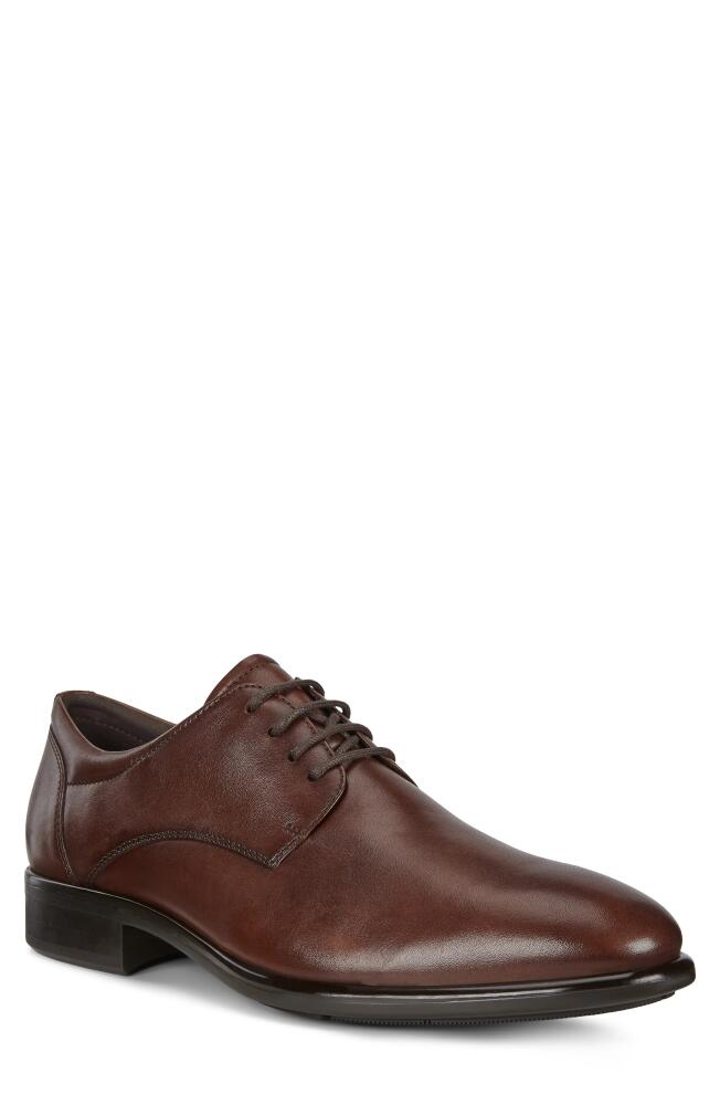 ECCO Citytray Plain Toe Derby in Cognac Leather Cover