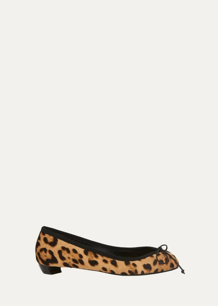 Alexander McQueen Leopard Bow Ballerina Flats Cover