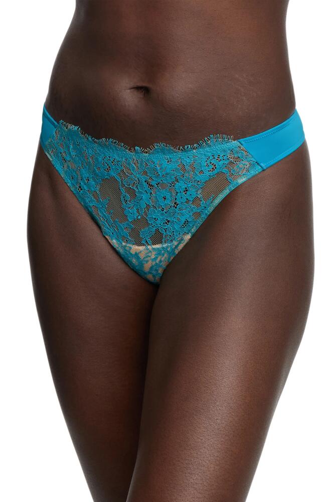 Skarlett Blue Entice Thong in Paradise Blue/Nylon Cover