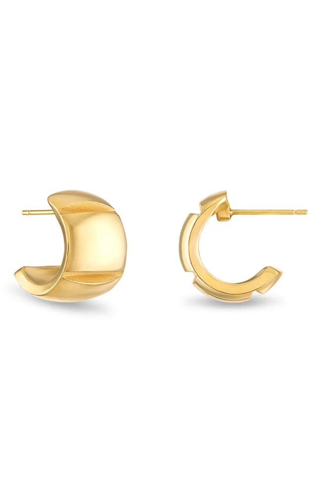 Pamela Zamore Veda Wide Hoop Earrings in Gold Cover