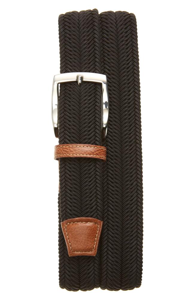 Torino Herringbone Woven Belt in Black Cover