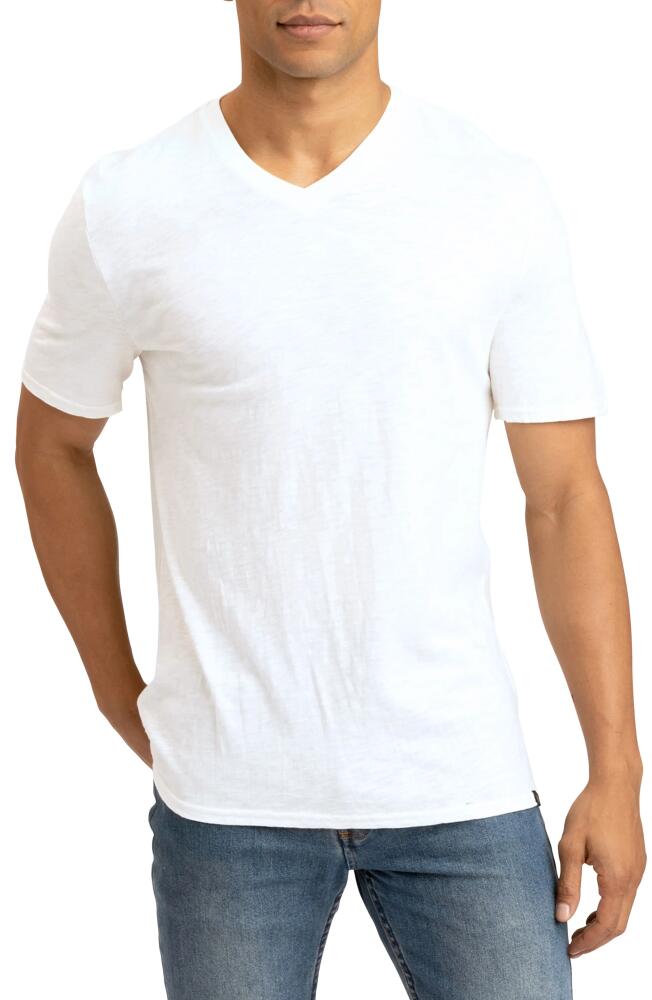 Threads 4 Thought V-Neck Organic Cotton T-Shirt in Ecru Cover