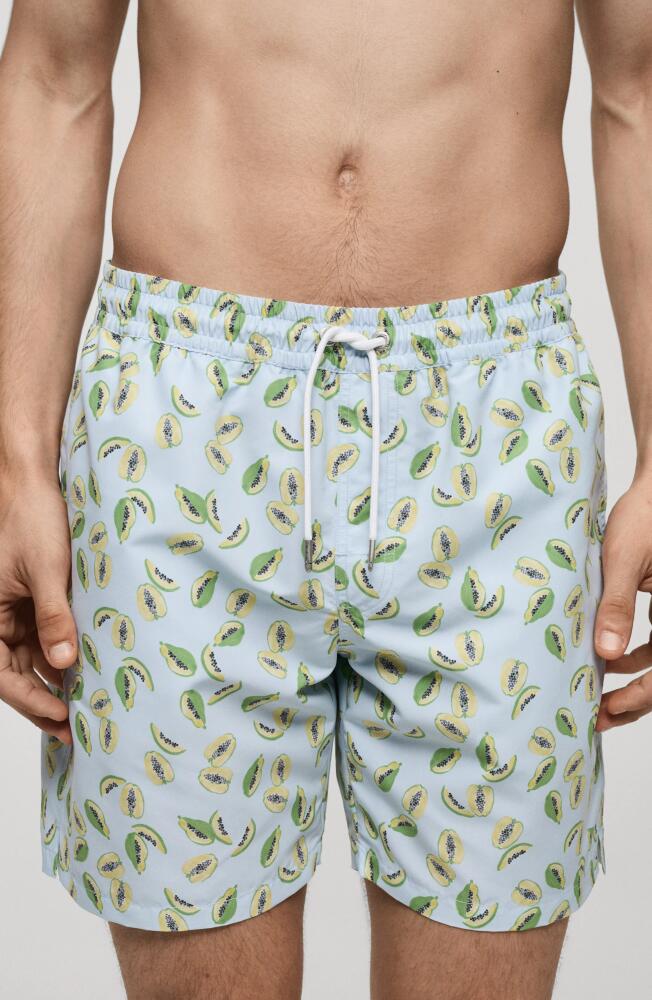 MANGO Fruits Swim Trunks in Sky Blue Cover