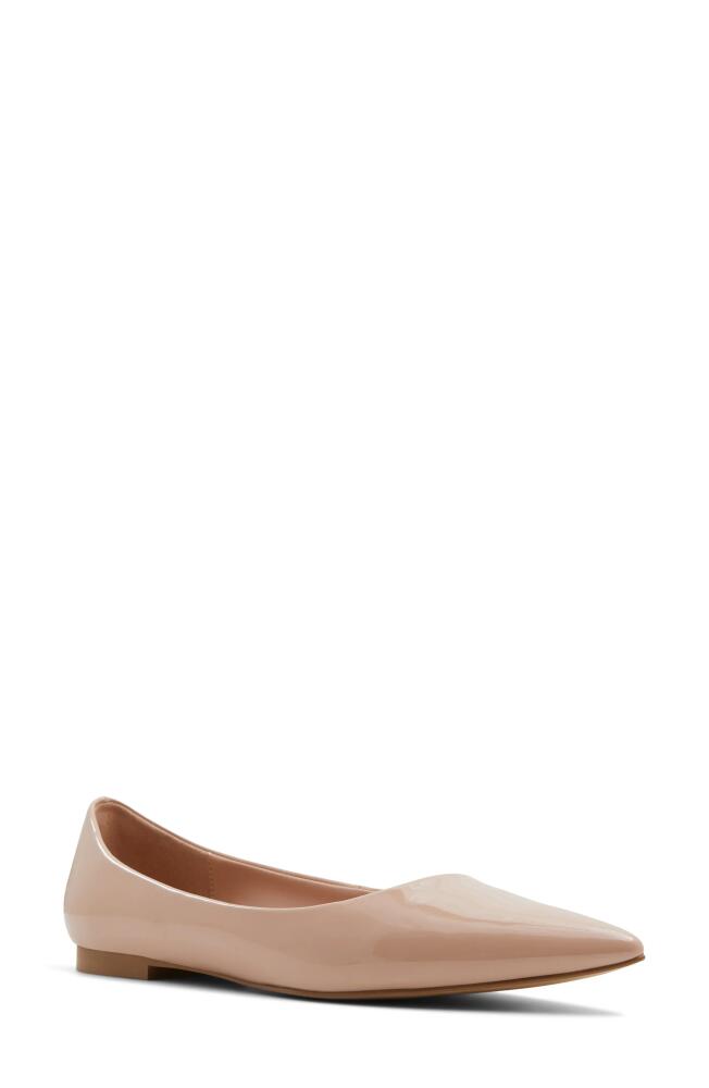 ALDO Stessy Pointed Toe Flat in Bone Cover