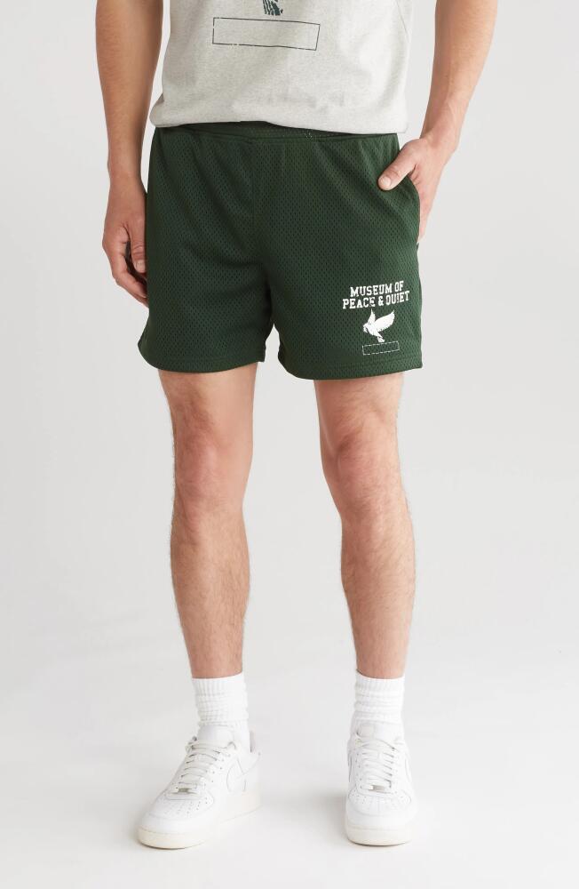 Museum of Peace & Quiet P. E. Mesh Shorts in Forest Cover