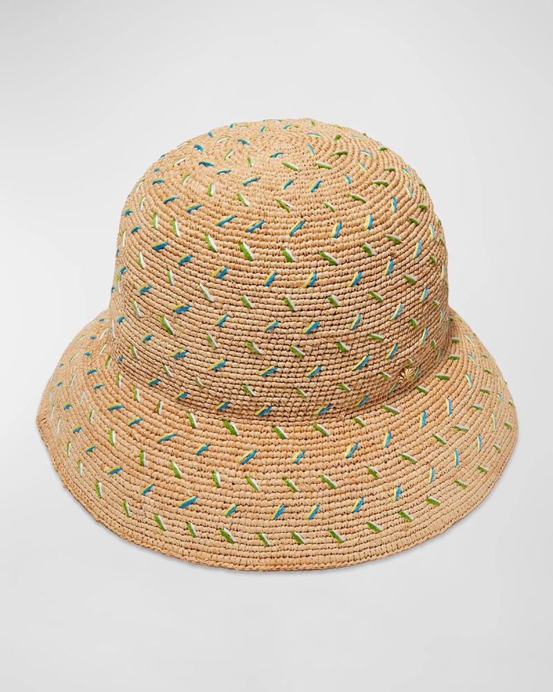 Lele Sadoughi Embroidered Raffia Large Brim Hat Cover