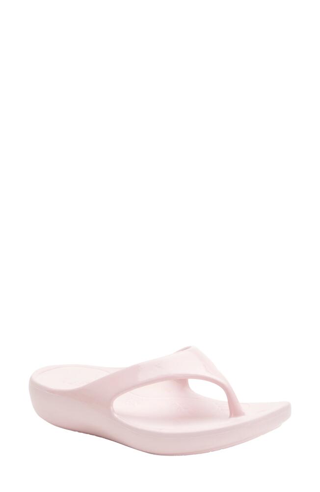 Alegria by PG Lite Ode Flip Flop in Pink Gloss Cover