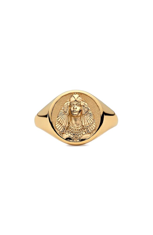 Awe Inspired Cleopatra Signet Ring in Gold Vermeil Cover