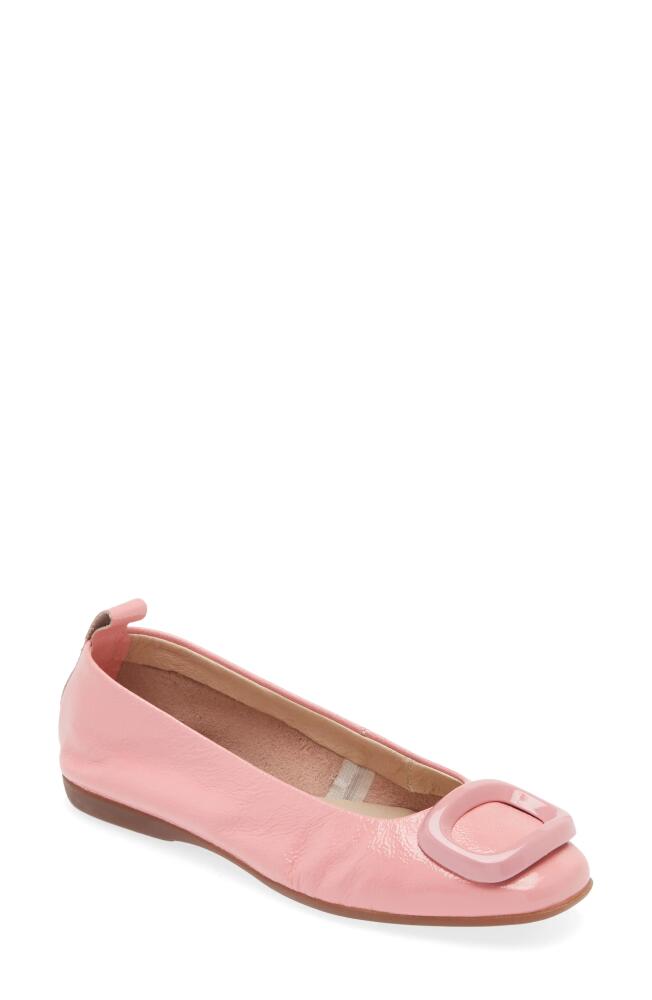 Wonders Ballet Flat in Lack Blush Cover