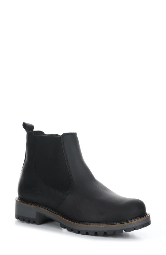 Bos. & Co. Corrin Waterproof Chelsea Boot in Black Saddle Leather Cover