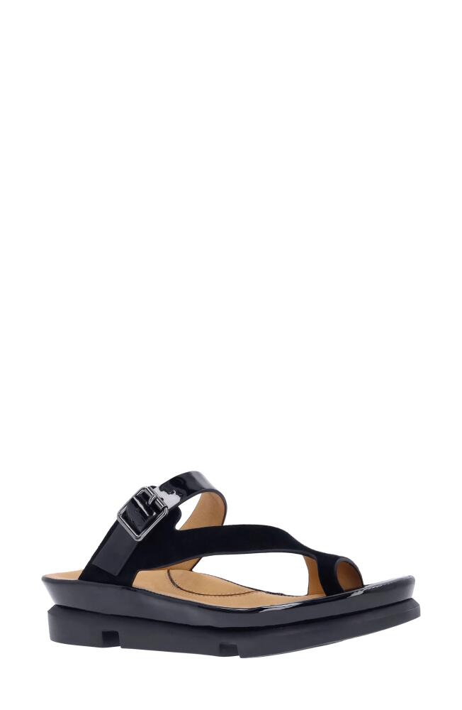 L'Amour des Pieds Alanza Toe Loop Sandal in Black Cover