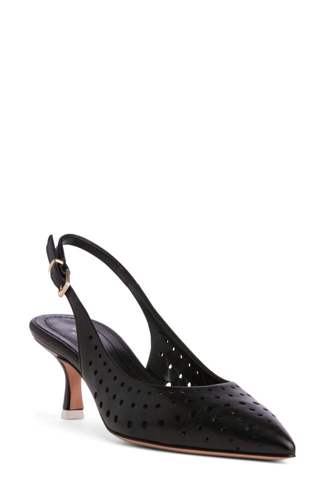 BEAUTIISOLES Flynn Slingback Pointed Toe Pump in Black Cover