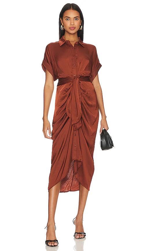 Steve Madden Tori Midi Dress in Brick Cover