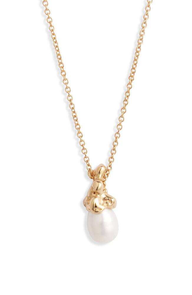 FARIS Sophia Freshwater Pearl Pendant Necklace in Gold Cover