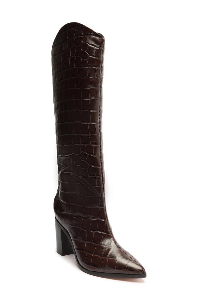 Schutz Maryana Pointed Toe Block Heel Knee High Boot in Dark Chocolate Croco Cover