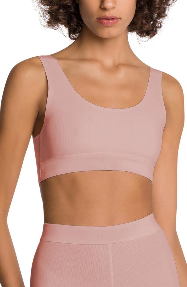 Wolford Beauty Scoop Bralette in 534 Powder Pink Cover