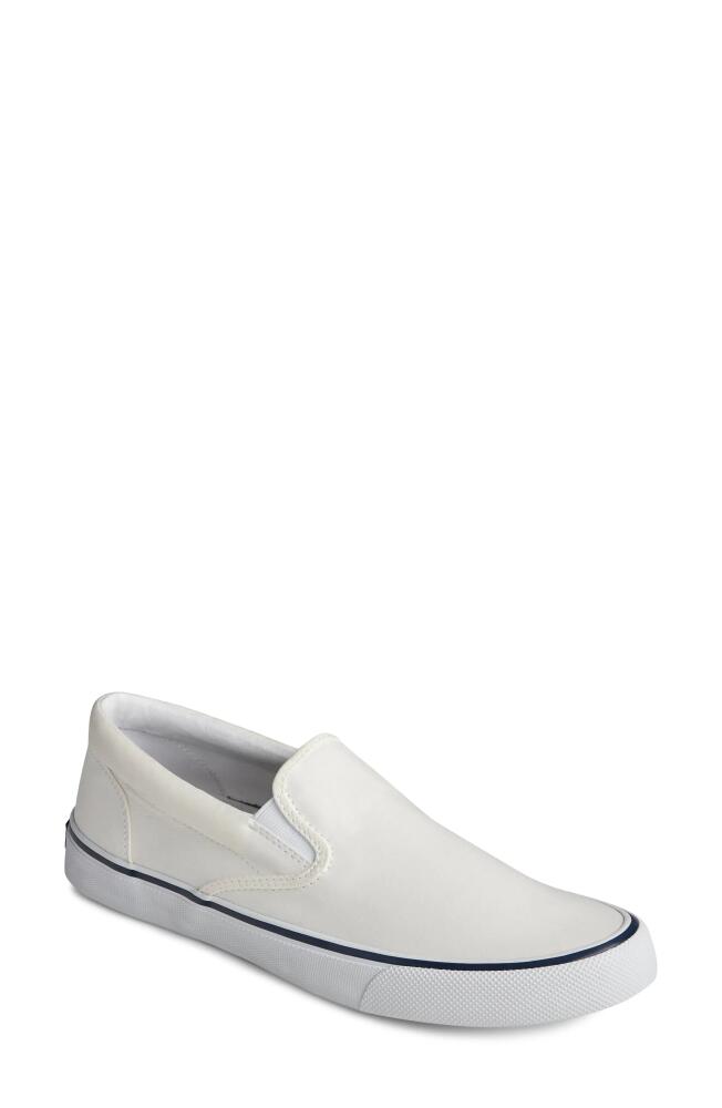 Sperry Striper II Slip-On Sneaker in White Cover