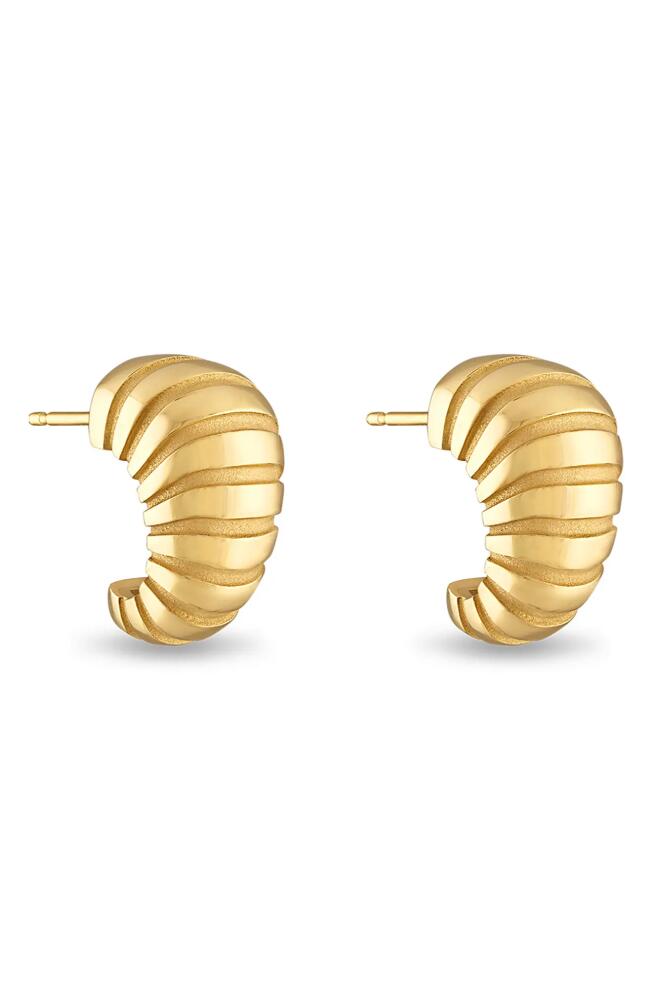 Pamela Zamore Noa Taper Earrings in Gold Cover