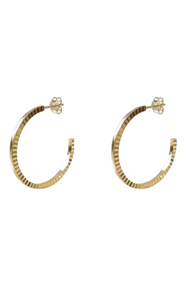 Argento Vivo Sterling Silver Diamond Cut Hoop Earrings in Gold Cover