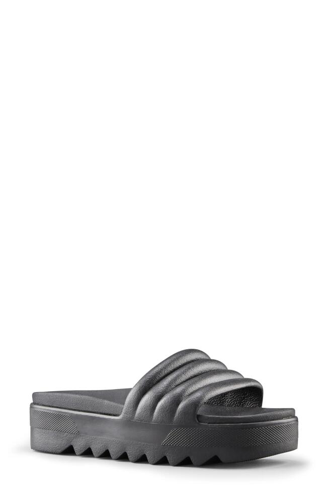 Cougar Pool Party Platform Slide Sandal in Black All Over Cover