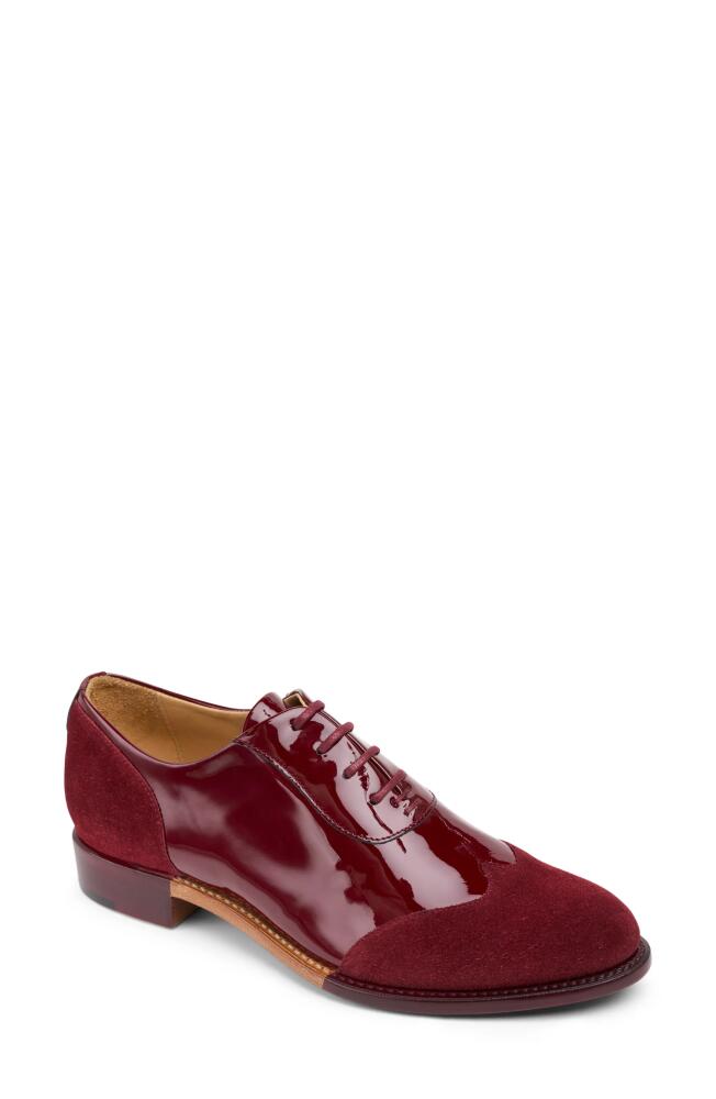 The Office of Angela Scott Mr. Evans Oxford in Ruby Cover