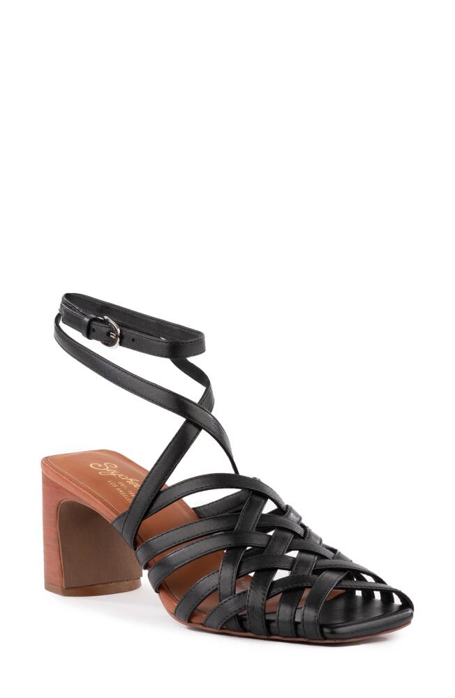 Seychelles Charter Sandal in Black Cover