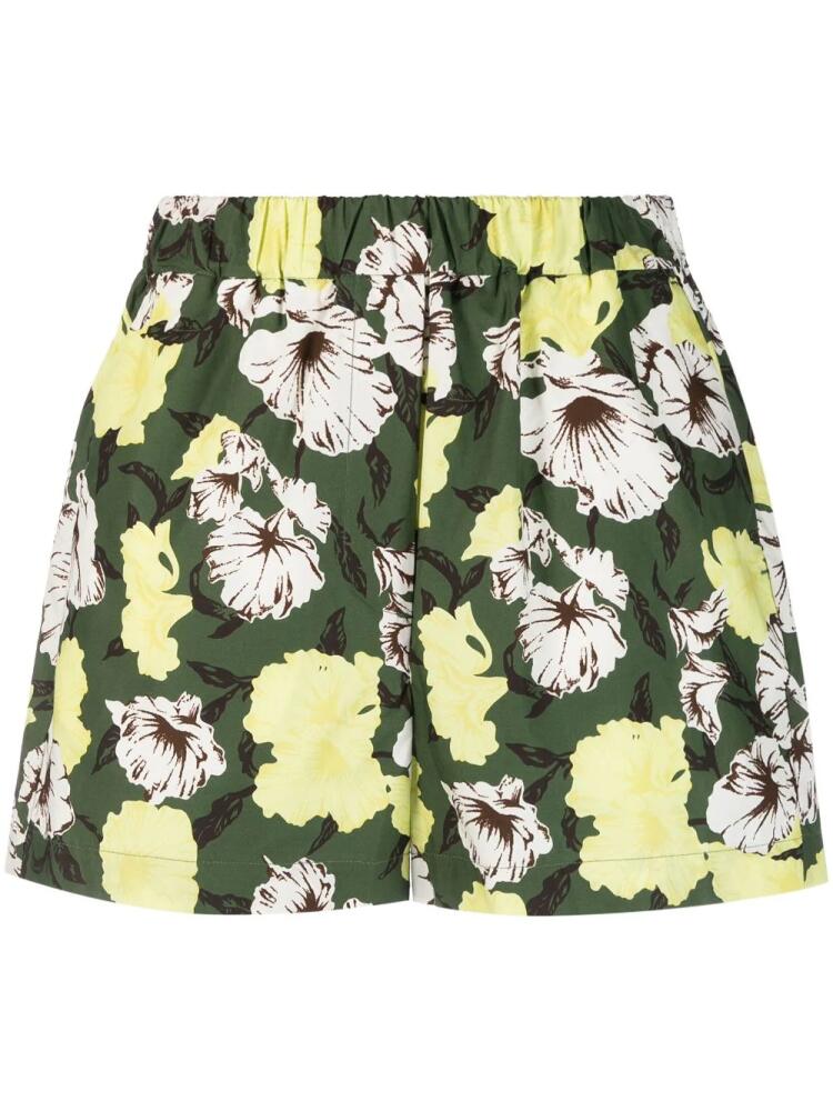 MSGM floral-print cotton shorts - Green Cover