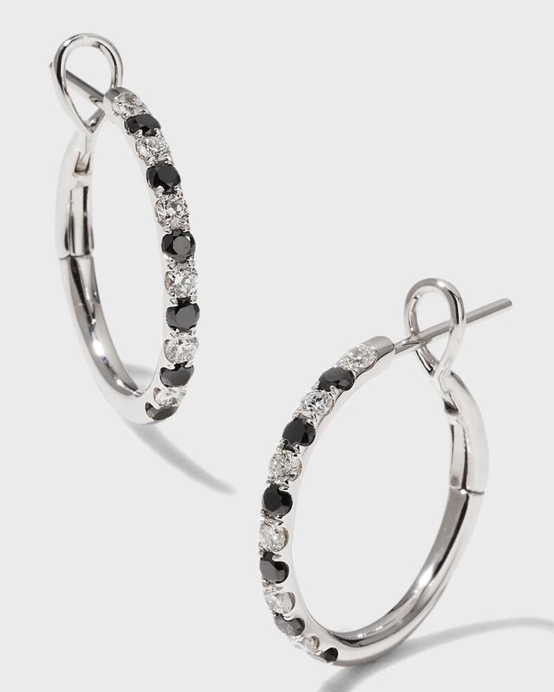 Frederic Sage Alternating Black and White Diamond Hoop Earrings Cover