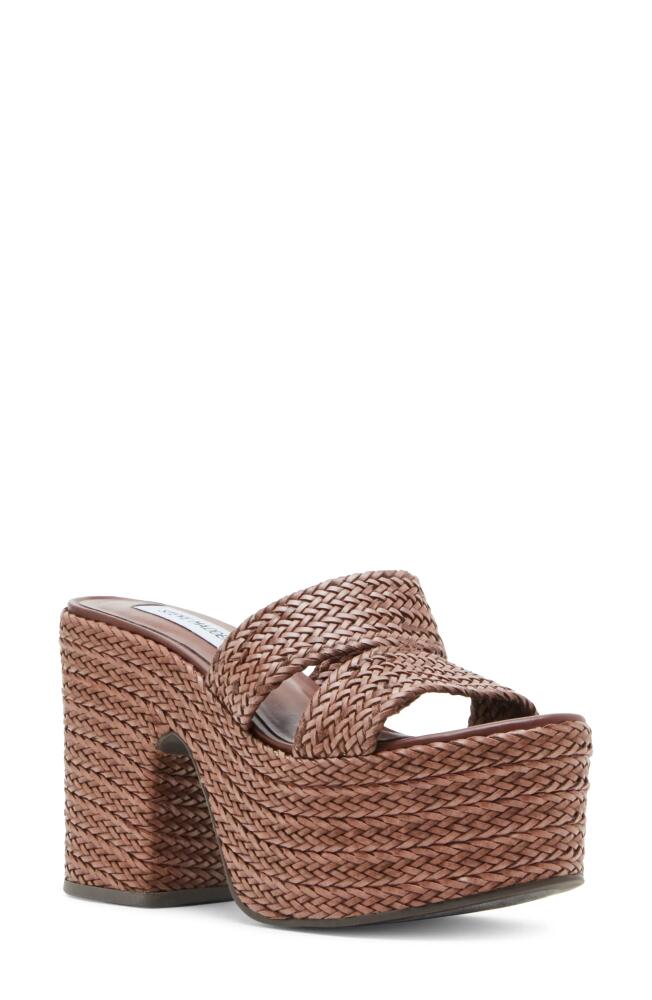 Steve Madden Gianni Platform Slide Sandal in Brown Cover