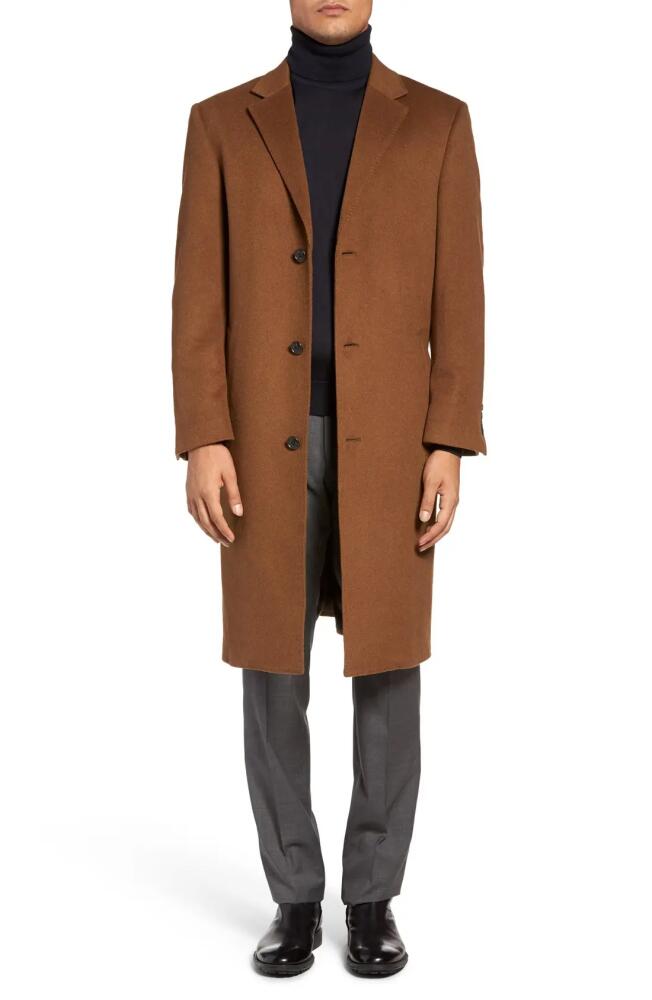 Hart Schaffner Marx Sheffield Classic Fit Wool & Cashmere Overcoat in Vicuna Cover