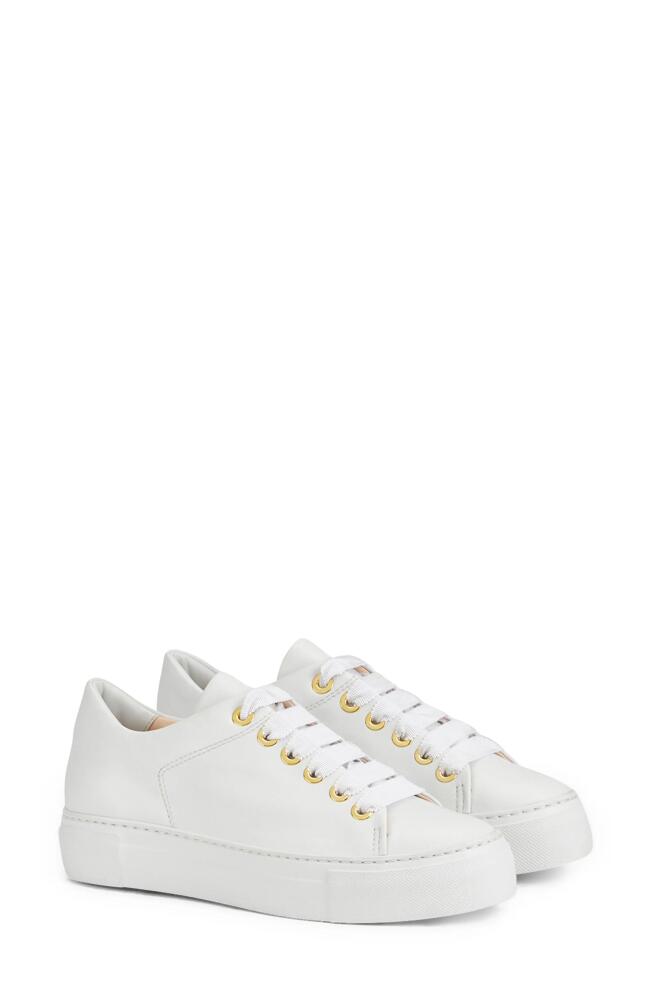 AGL Parsy Low Top Platform Sneaker in White-White Cover