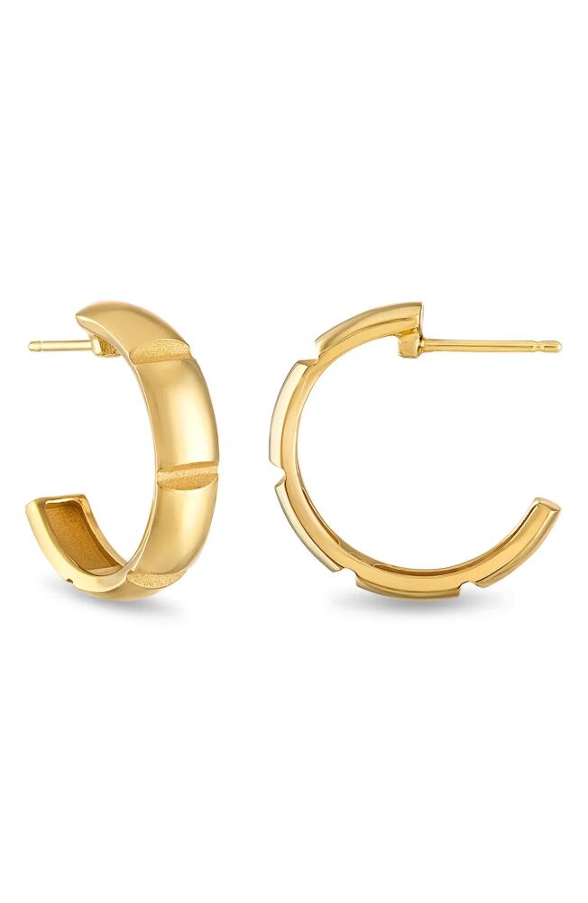 Pamela Zamore Veda Large Hoop Earrings in Gold Cover