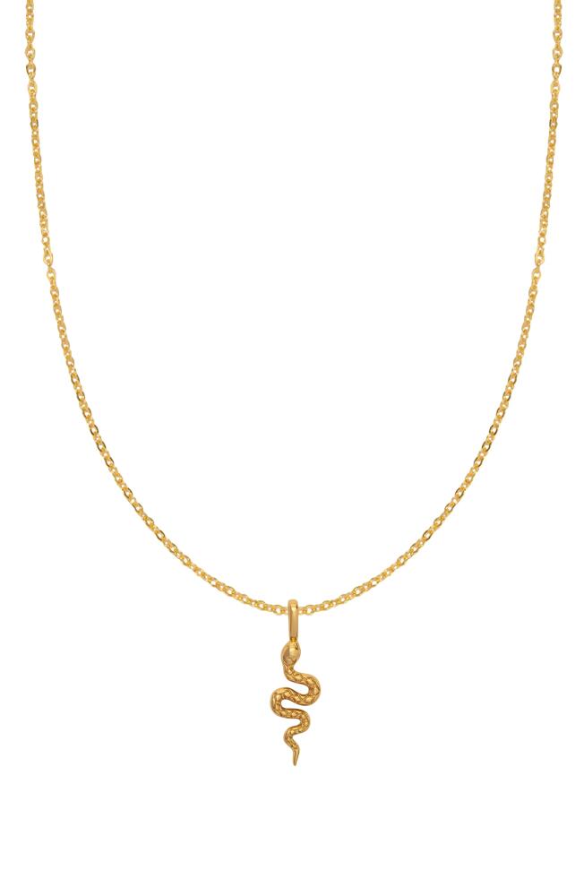 MADE BY MARY Snake Pendant Necklace in Gold Cover