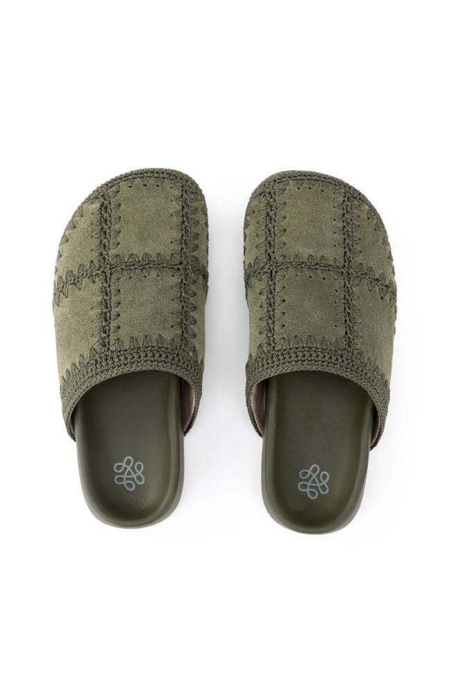 The Sak Bolinas Clog in Moss Suede Patch Cover