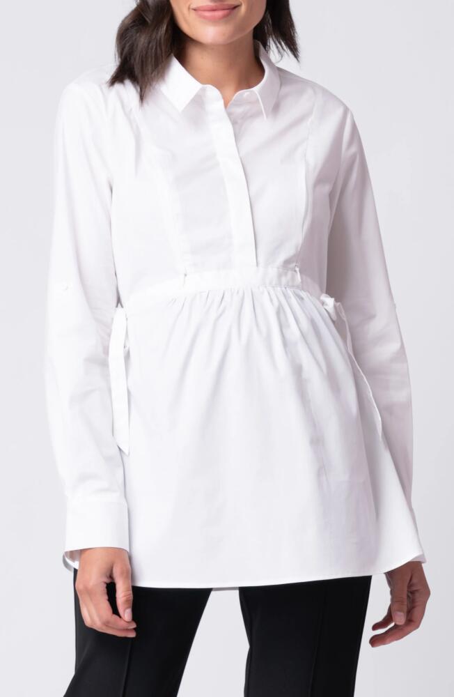 Seraphine Poplin Maternity/Nursing Shirt in White Cover