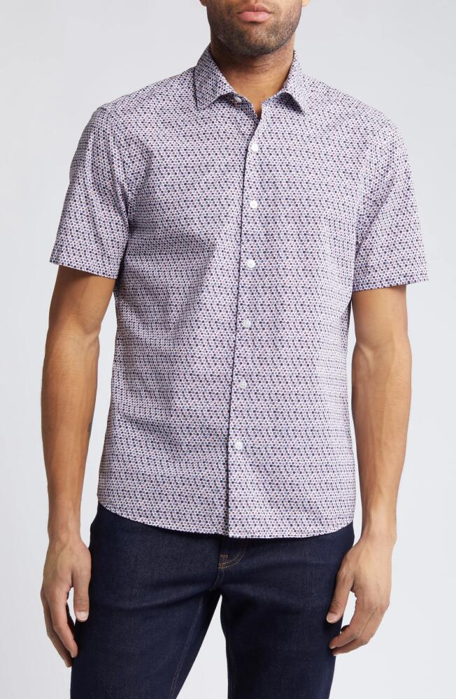 Robert Barakett Serle Dot Print Short Sleeve Buttion-Up Shirt in Pink Cover